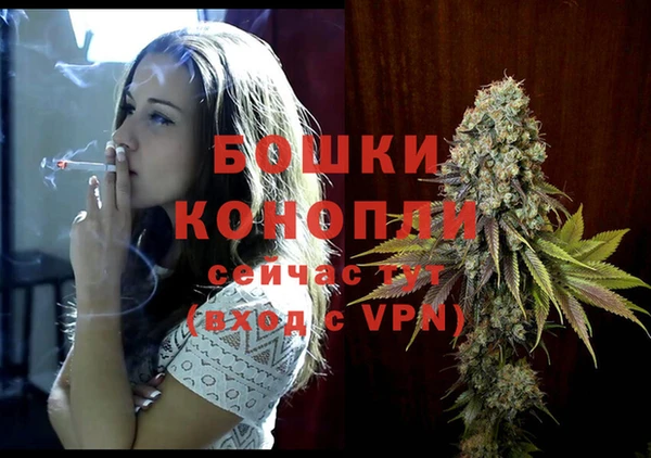 мдпв Михайлов