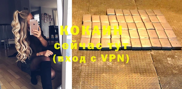 мдпв Михайлов