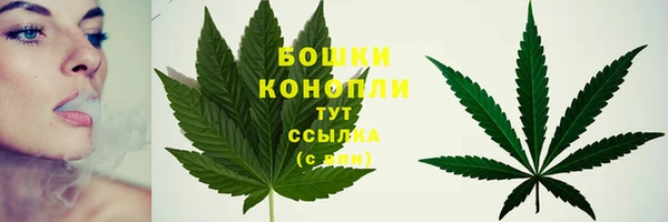 мдпв Михайлов