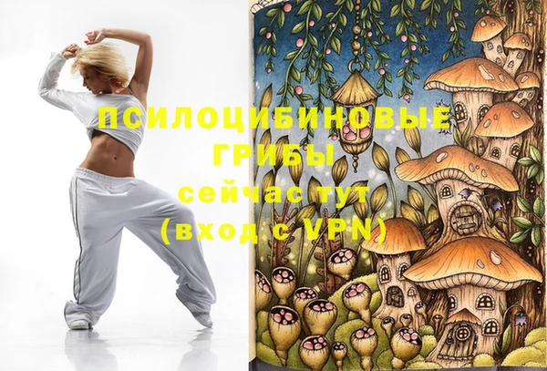 мдпв Михайлов
