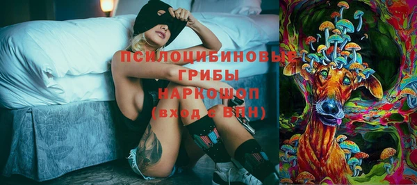 мдпв Михайлов