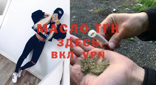 мдпв Михайлов
