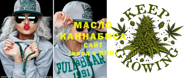 мдпв Михайлов