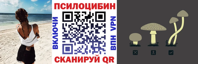 Галлюциногенные грибы Psilocybe  Ленинградская 